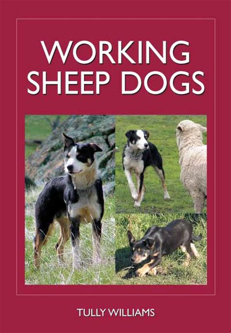 Working sheep dogs a practical guide to breeding training and. - Foundations of geometry by venema solutions manual.