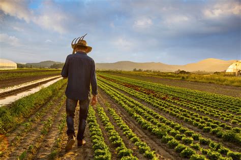 Working the land. Sharecropping is a system where the landlord/planter allows a tenant to use the land in exchange for a share of the crop. This encouraged tenants to work to produce the biggest harvest that they ... 