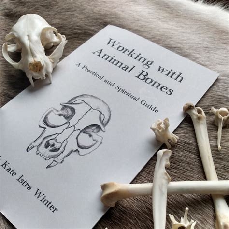 Working with animal bones a practical and spiritual guide. - Financial accounting libby 7th edition solutions manual download.