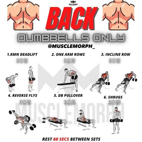 Workout For Back With Dumbbells 7 Powerful Exercise For Back Muscles