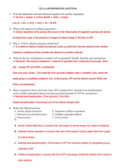 Worksheet 91 Overview Cellular Respiration An Answers