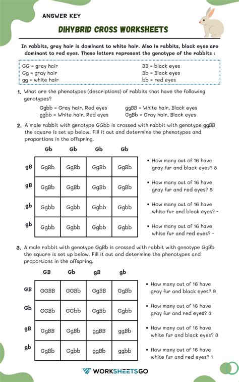 Worksheet Answer Practice Cross Dihybrid Key