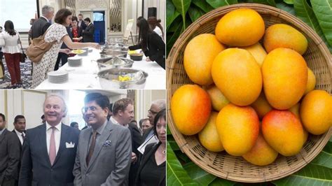 World News Indian Mangoes in Europe: Piyush Goyal Inaugurates