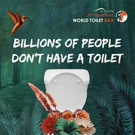 World Toilet Day 2024: Examining The Sanitary