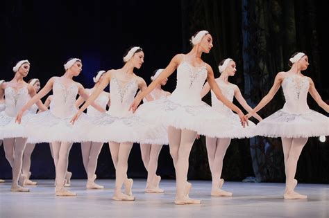 World ballet series. World Ballet Series presents Swan Lake, The Nutcracker and Cinderella in cities across the country. Experience the beauty and magic of ballet with an exceptional ensemble, … 