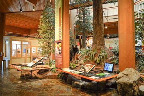 World forestry center. Things To Know About World forestry center. 