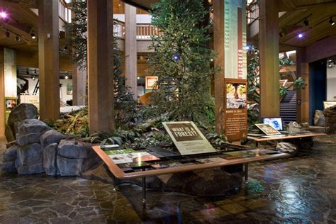 World forestry center portland. Tucked in Portland’s lush Washington Park, the World Forestry Center stands as an engaging ode to our planet’s forests. This educational hub pulls families into … 