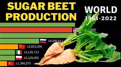 World spice production statistics. .  Sugar beets provided approximately 2/3 of world s...