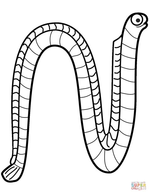 Worm Coloring Pages Printable