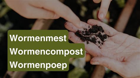 Wormencompost versus kunstmest Wormencompost versus kunstmest