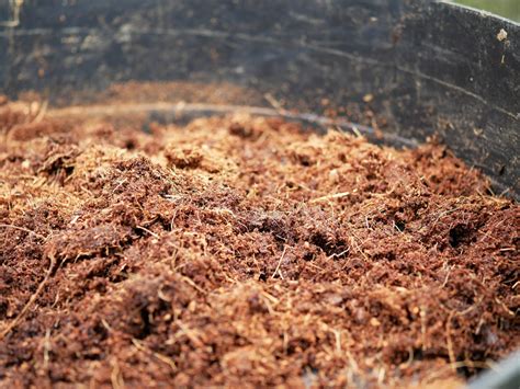 Wormencompost gebruiken in de moestuin