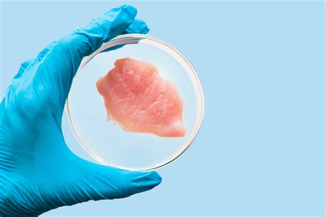 Would you eat lab-grown pork to save the environment?