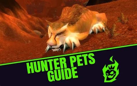 Wow classic hunter macros.  The best pets for specific tasks are easy to...