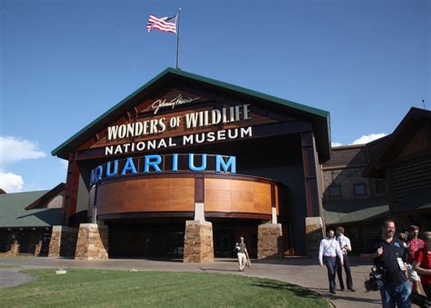 Wow museum springfield mo. WOW Nominated Again! By Submitted News on May. 05, 2022 For the fourth year, Morris’ Wonders of Wildlife National Museum & Aquarium in Springfield, Missouri, has been nominated for the honor of “America’s Best Aquarium” as part of a national poll conducted by USA TODAY. 