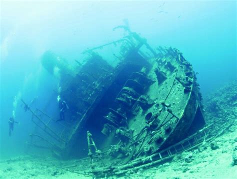 Wrecks of the red sea white star guides diving. - Contabilità gestionale finanziaria manuale soluzioni weygt.