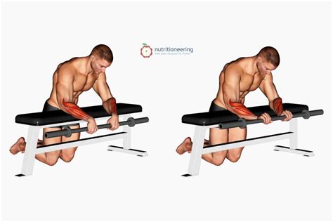 Wrist curls vs reverse curls.  Lean forward and rest the back of your forear...