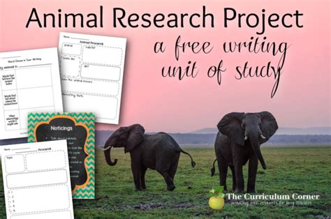 Writing Unit of Study Animal Research Project The Curriculum Corner 123