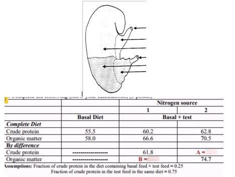 Written in the s and