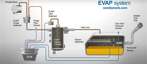 Wrx evap delete. .  <a href=https://buh.sobi.com.ru/0bt2hvm/recent-deaths-in...