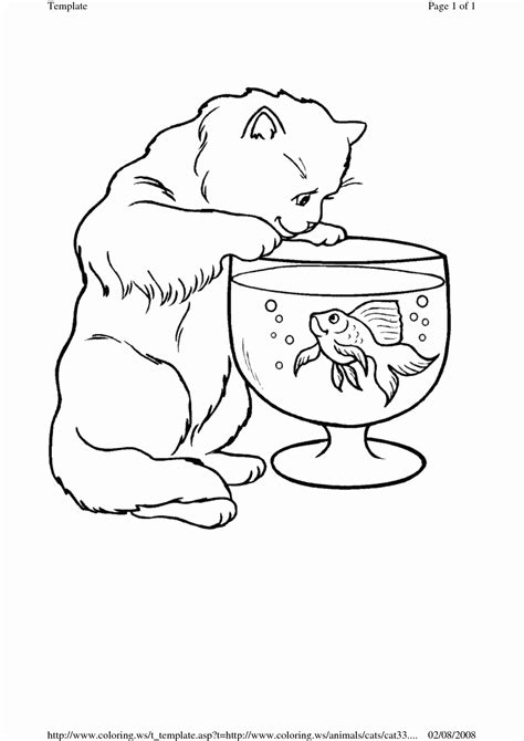 Ws Coloring