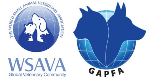 Wsava - “WSAVA represents more than 200,000 veterinarians worldwide through its 115 member associations and works to enhance standards of clinical care for companion animals,” the release also stated. Recommendations versus guidelines. For those of us familiar with the 2013 WSAVA tool, you will recall the title had the word “recommendations.”