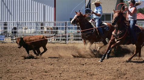 Sep 30, 2020 · 0. Photos from the Wrangler Team Roping Champ