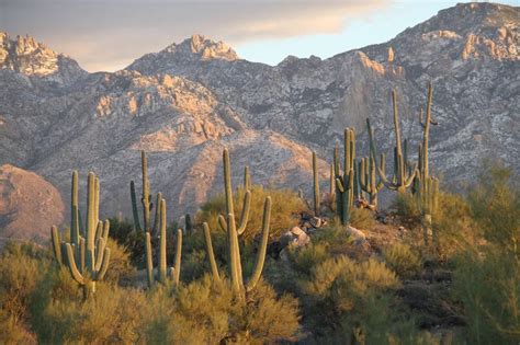 Wunderground tucson az. Feb 29, 2024 · Tucson Weather Forecasts. Weather Underground provides local & long-range weather forecasts, weatherreports, maps & tropical weather conditions for the Tucson area. ... Tucson, AZ 10-Day Weather ... 
