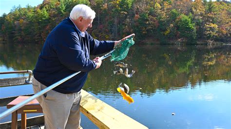 Fall trout stockings are back the weeks of October 16 and October 23 and better than ever before. During these two weeks, the WVDNR will stock more than …
