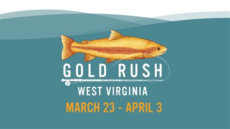 The first golden trout of the 2023 West Virginia Gold Rush are stocked at Babcock State Park on Monday. Office of Gov. Jim Justice The annual program sees more 50,000 golden rainbow trout stocked in the state's streams and lakes for the benefit of angling enthusiasts.