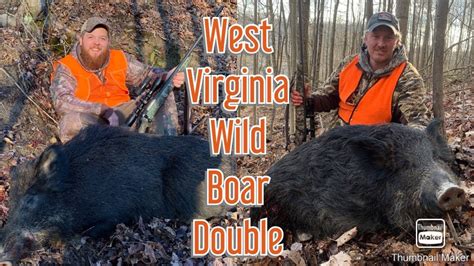 Your hog hunt can be booked using your weapon of choice; incl