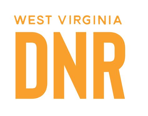 Wvdnr stock report. Things To Know About Wvdnr stock report. 