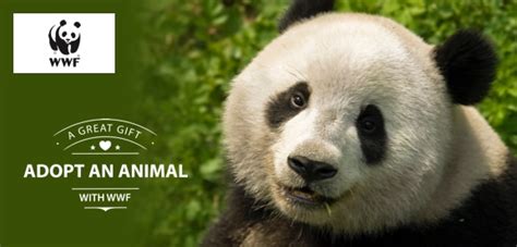 Wwf adopt an animal. When you choose a symbolic animal adoption, you generously support WWF's global conservation efforts. Every donation helps save endangered wildlife, protect ... 