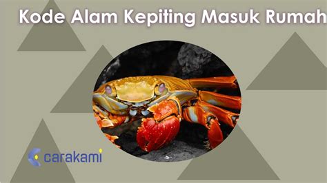 Www google co id jp. Kode alam kepiting masuk.