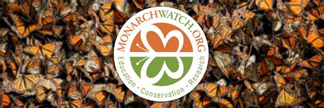 Monarch Watch ( https://monarchwatch.org) is a nonprofit education, conservation, and research program affiliated with the Kansas Biological Survey & Center for Ecological Research at the University of Kansas. The program strives to provide the public with information about the biology of monarch butterflies, their spectacular migration, and .... 