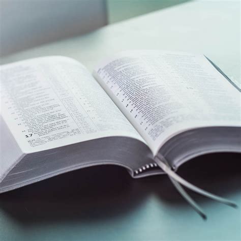 Www.jw.org bible. Things To Know About Www.jw.org bible. 