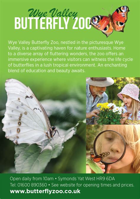 Wye Valley Butterfly Zoo - Home - Facebook