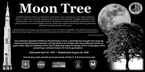 Wyoming, Michigan Moon Tree - NASA