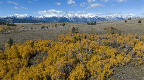 Wyoming may auction off huge piece of pristine land inside Grand Teton