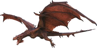 Wyverns collect wood as well as thatch Wyvern Tips Dododex