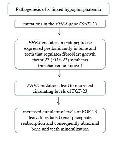 X-Linked Hypophosphatemia - europepmc.org