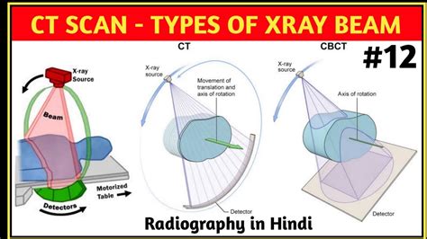 X-ray Beam & Discovery Crossword - WordMint