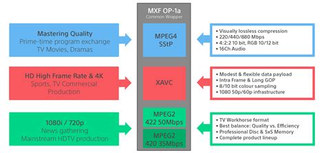 XAVC H Whitepaper - Sony Professional - balustradellc