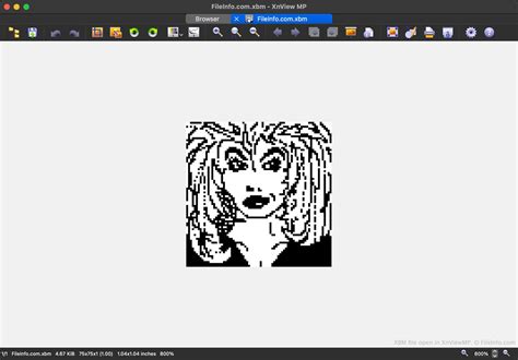 XBM File What It Is How to Open One 