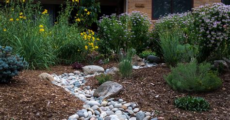 Xeriscaping: Ground Cover Plants | Colorado State - raincitystudios.com