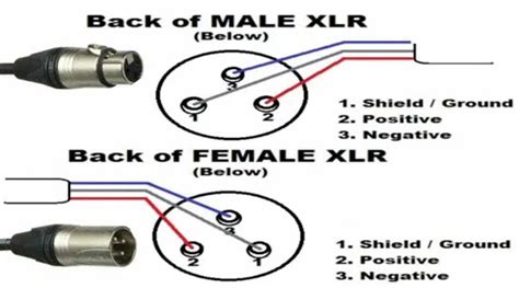 XLR connector - balustradellc