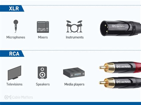 XLR vs RCA Cables - Detailed Comparison - Audiophiles - balustradellc