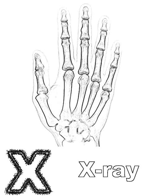 XRay Coloring Pages Coloring Home