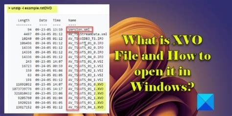 XVO File What It Is How to Open One 