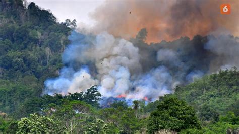 XXXXX INDONESIA scene terpanas & kafe tematik kota peluang usaha terkait pemecahan misteri Twitter Unfollow Adegan panas Asia support resistance jelas setiap episode image 1