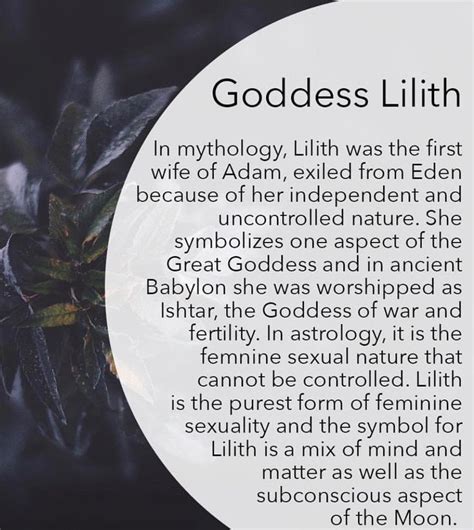 X_X_Lillith_X_X Leaks 🍑 +18